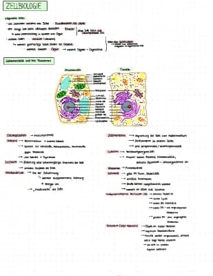 Know Zellbiologie thumbnail