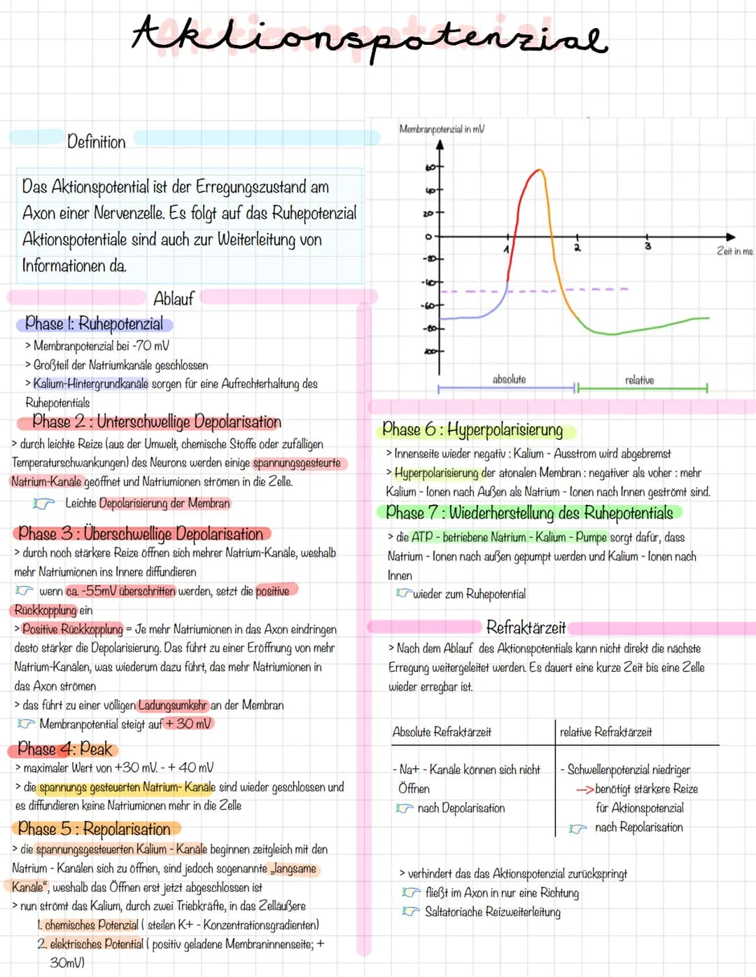 Aklionspotenzial
Definition
Das Aktionspotential ist der Erregungszustand am
Axon einer Nervenzelle. Es folgt auf das Ruhepotenzial
Aktionsp