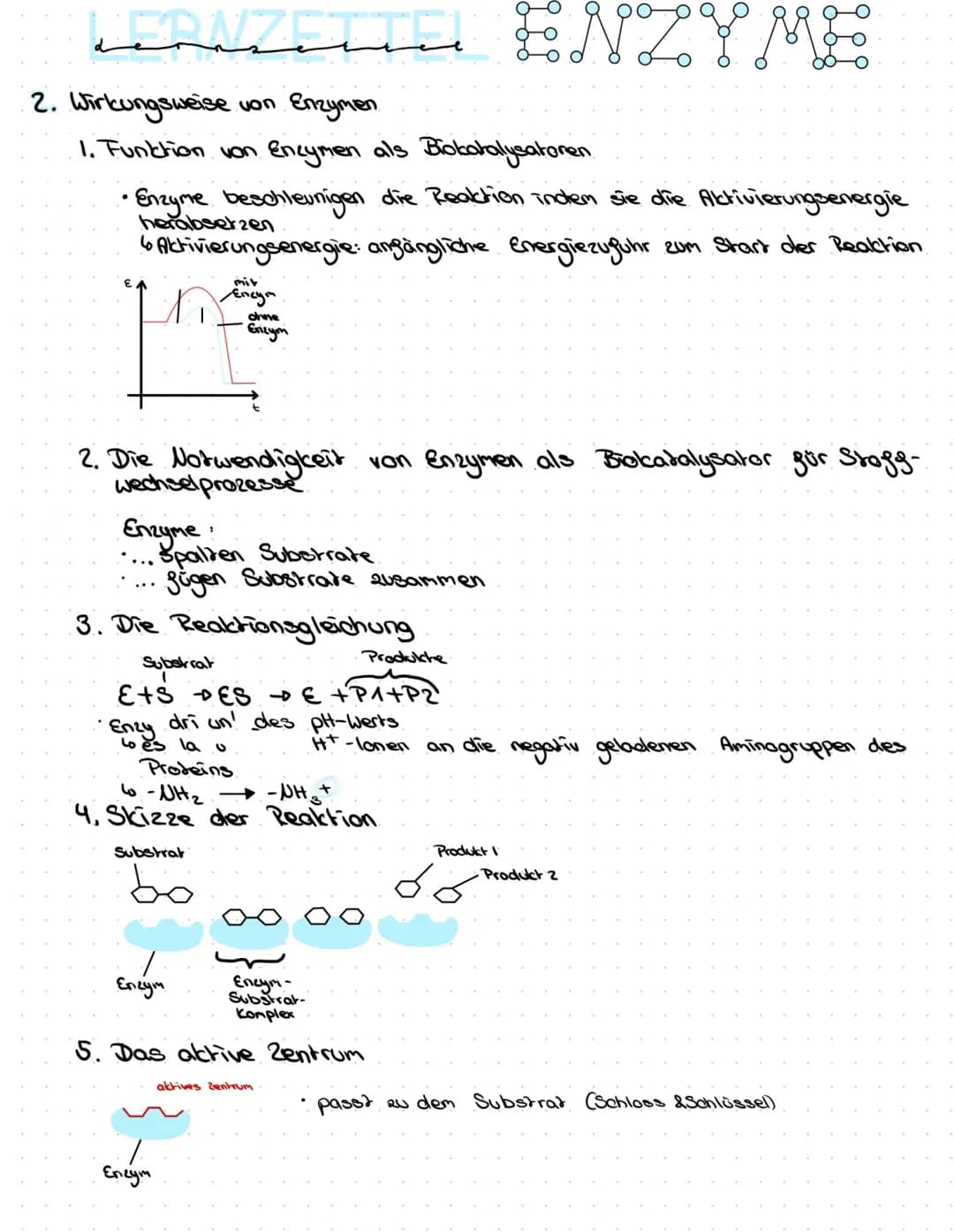 canze NZYME
6. 2usammengeserzhe. Елгуме
Was versteht
man
darunter ?
• Reaktionen, die von einem Reaktionspartner abhängig sind
• Coen Lyme:•