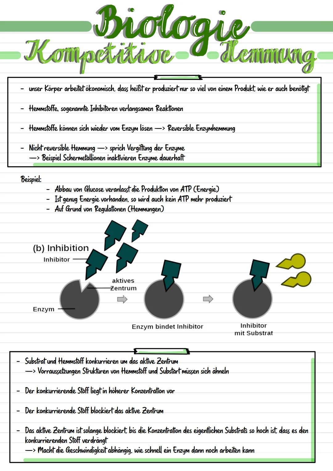 Enzymatik Enzymatik
Wirkungsweise
Substratspezifisch
Ein Enzym ist
substratspezifisch.
da immer nur ein
Substrat zu dem
passendem Aktivem
Ze