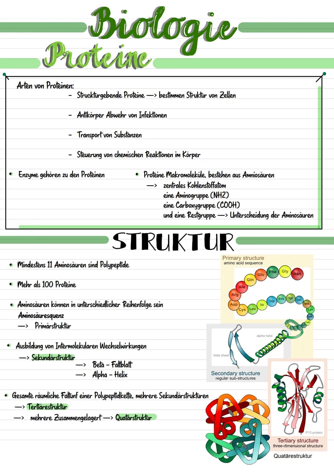 Enzymatik Enzymatik
Wirkungsweise
Substratspezifisch
Ein Enzym ist
substratspezifisch.
da immer nur ein
Substrat zu dem
passendem Aktivem
Ze