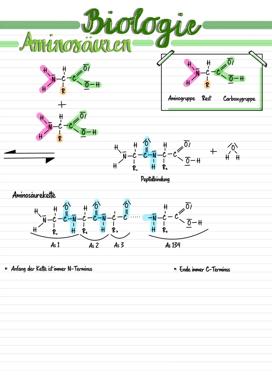 Enzymatik Enzymatik
Wirkungsweise
Substratspezifisch
Ein Enzym ist
substratspezifisch.
da immer nur ein
Substrat zu dem
passendem Aktivem
Ze