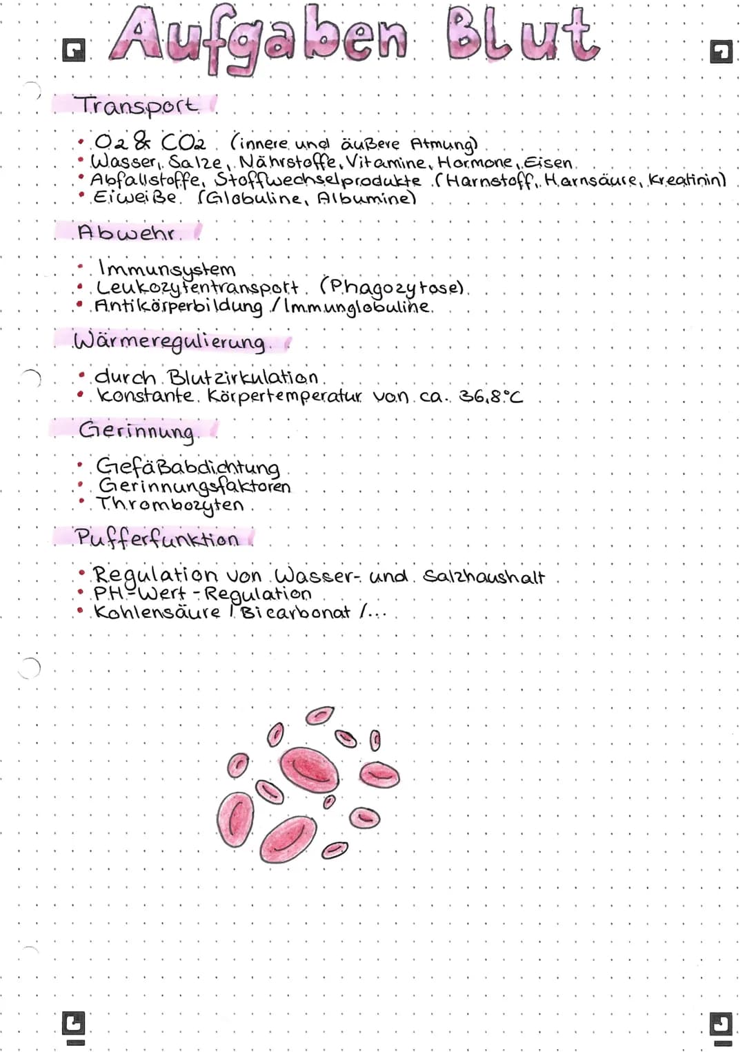 G
Aufgaben Blut
Transport
·02& CO₂ (innere und äußere Atmung)
Wasser, Salze, Nährstoffe, Vitamine, Hormone, Eisen.
• Abfallstoffe, Stoffwech