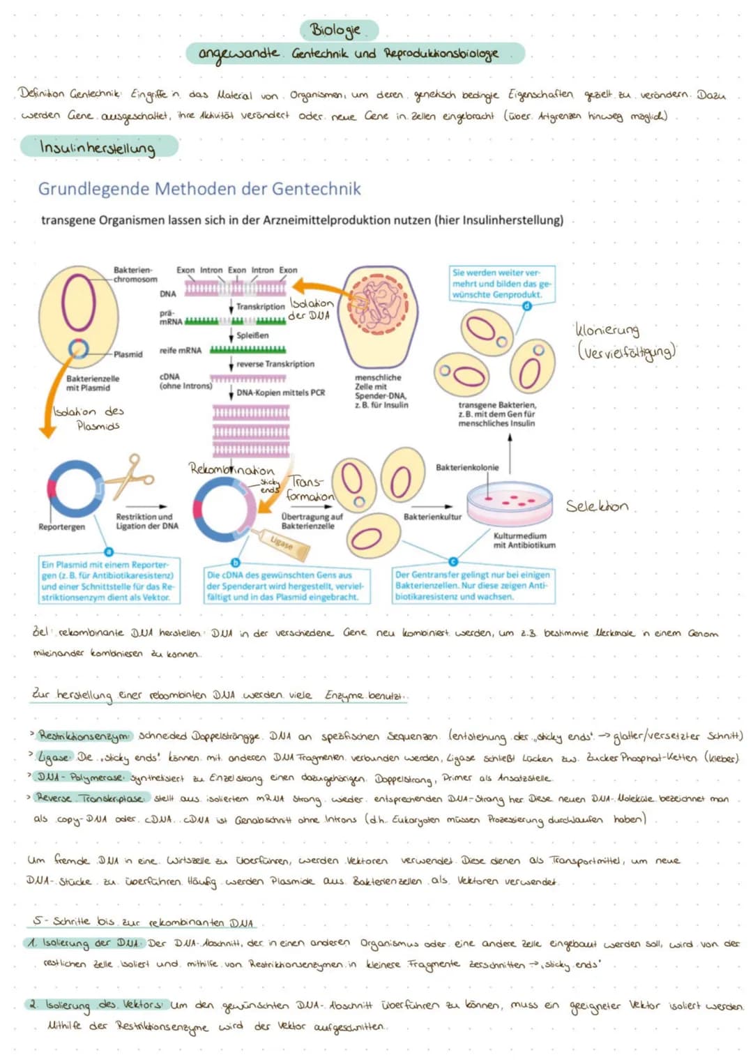 Definition Gentechnik: Eingriffe in das Material von Organismen, um deren genetisch bedingte Eigenschaften gezielt zu verändern. Dazu
werden