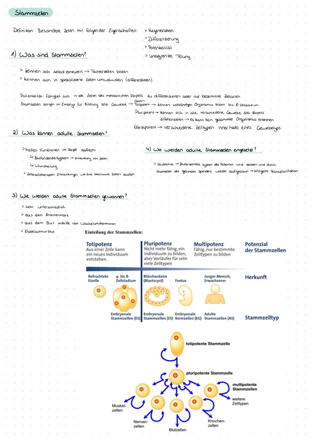 Definition Gentechnik: Eingriffe in das Material von Organismen, um deren genetisch bedingte Eigenschaften gezielt zu verändern. Dazu
werden