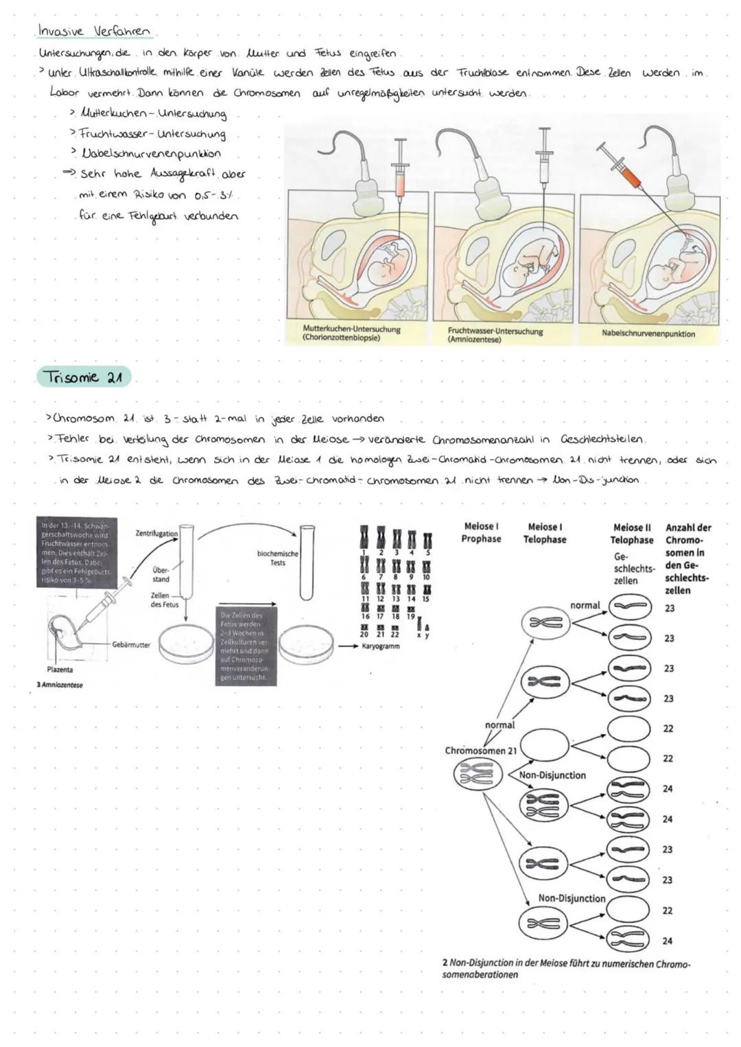 Definition Gentechnik: Eingriffe in das Material von Organismen, um deren genetisch bedingte Eigenschaften gezielt zu verändern. Dazu
werden