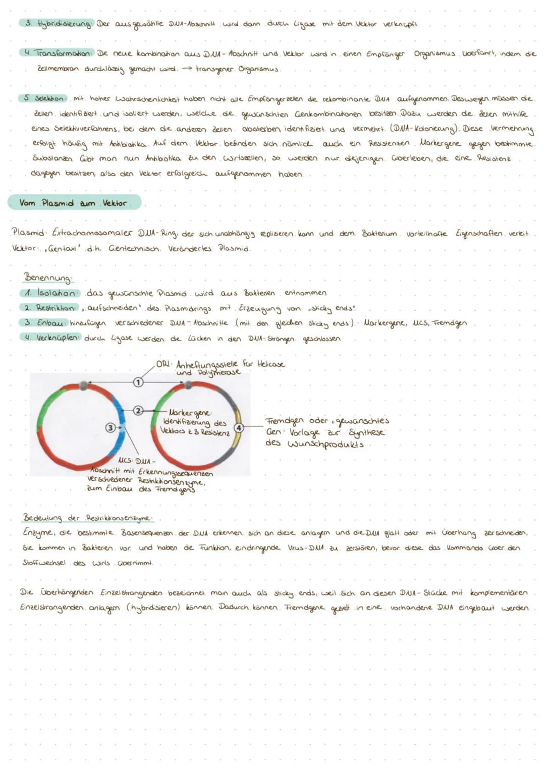 Definition Gentechnik: Eingriffe in das Material von Organismen, um deren genetisch bedingte Eigenschaften gezielt zu verändern. Dazu
werden