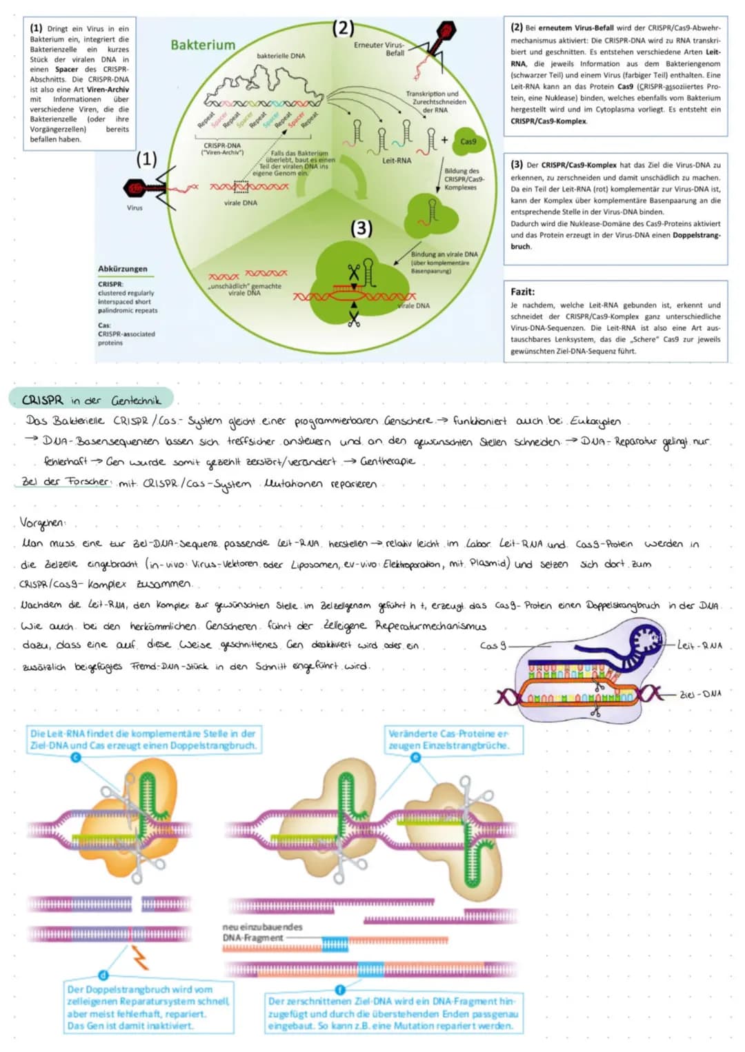 Definition Gentechnik: Eingriffe in das Material von Organismen, um deren genetisch bedingte Eigenschaften gezielt zu verändern. Dazu
werden