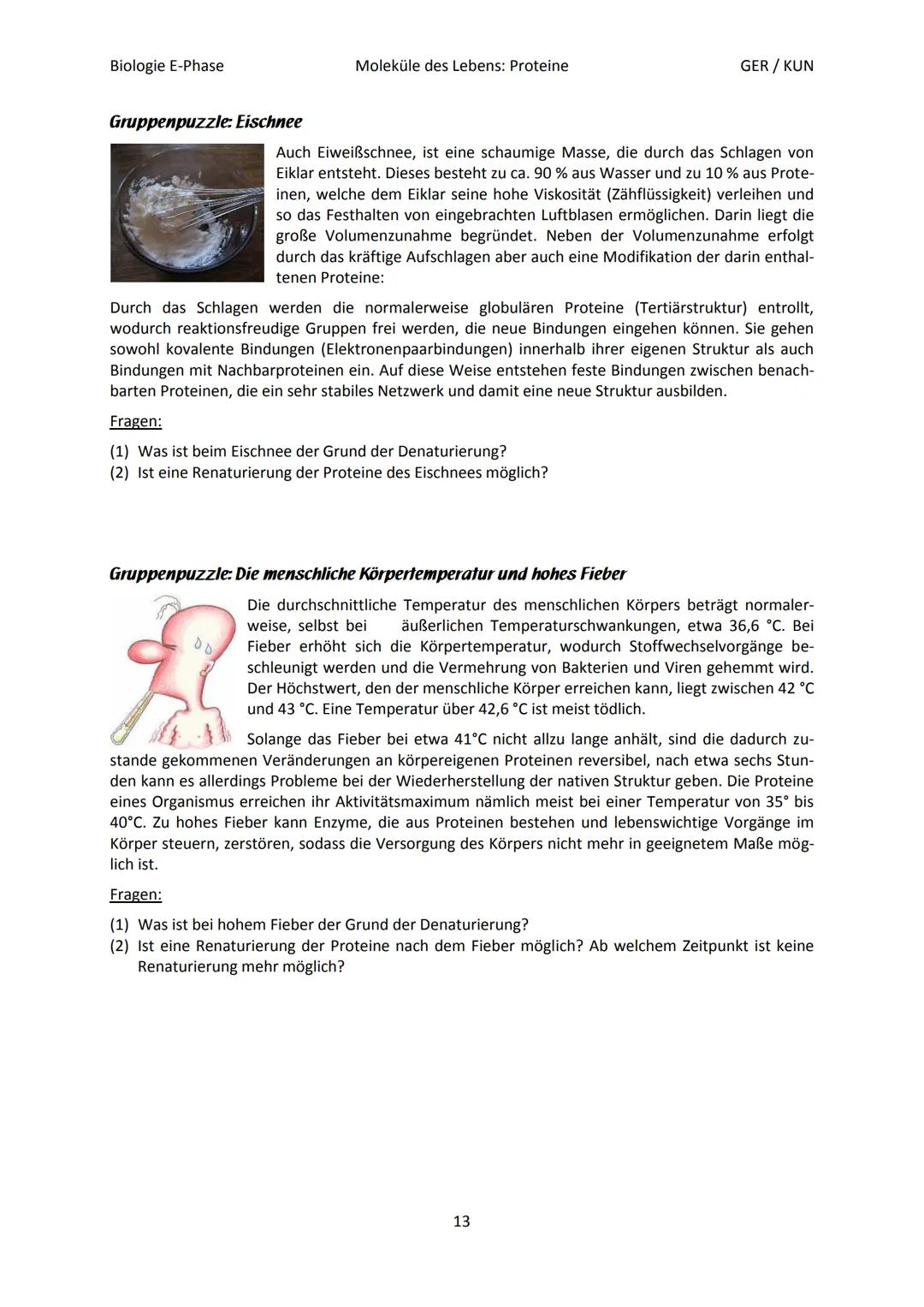 Biologie E-Phase
Proteine: Funktionsvielfalt durch Strukturvielfalt
Nahezu alle in Lebewesen ablaufende Prozesse sind von Proteinen abhängig