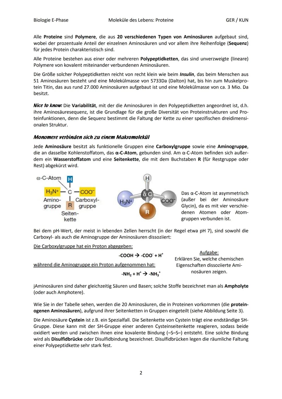 Biologie E-Phase
Proteine: Funktionsvielfalt durch Strukturvielfalt
Nahezu alle in Lebewesen ablaufende Prozesse sind von Proteinen abhängig