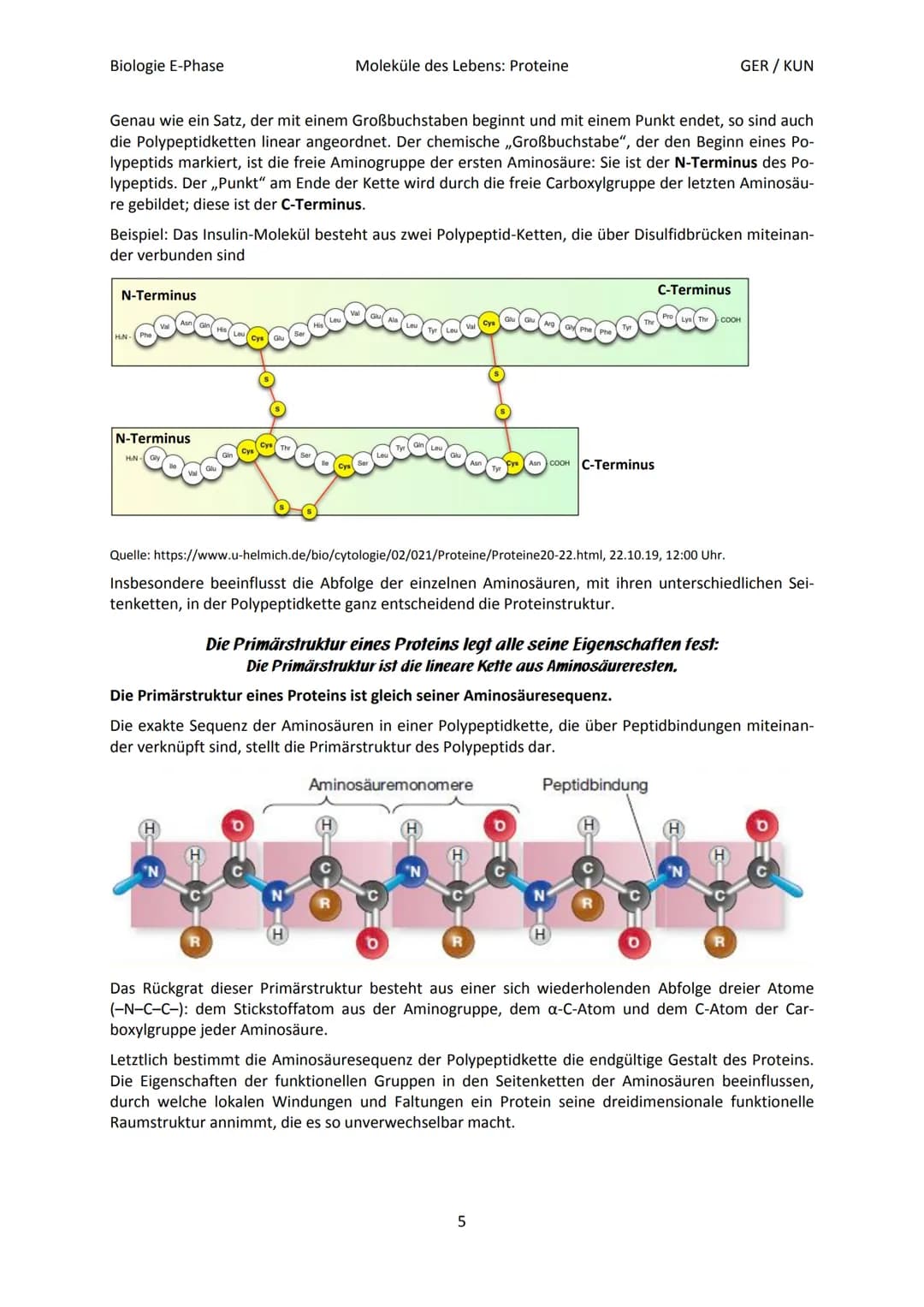 Biologie E-Phase
Proteine: Funktionsvielfalt durch Strukturvielfalt
Nahezu alle in Lebewesen ablaufende Prozesse sind von Proteinen abhängig