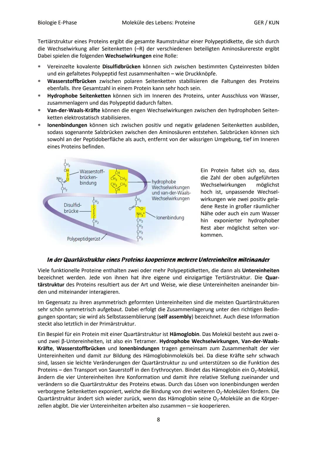 Biologie E-Phase
Proteine: Funktionsvielfalt durch Strukturvielfalt
Nahezu alle in Lebewesen ablaufende Prozesse sind von Proteinen abhängig