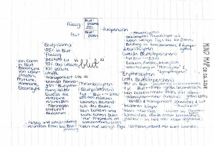 Know Blut × Mind Map thumbnail