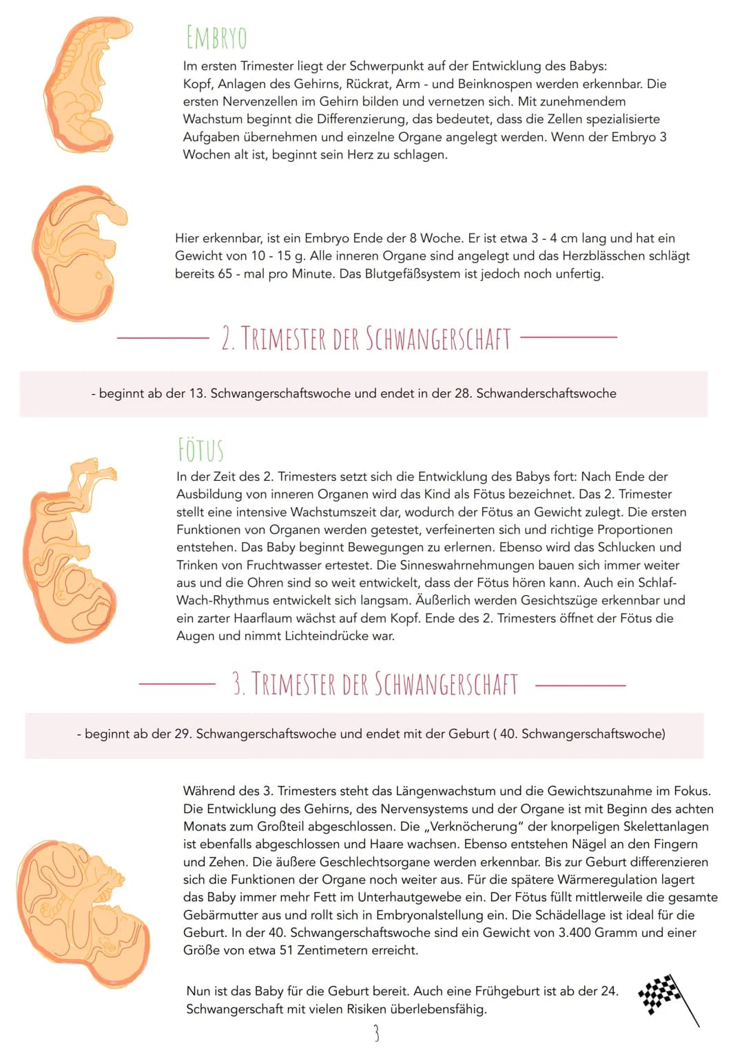 Ontogenese Embryonalentwicklung
Definition
Embryonalentwicklung ist die Entwicklung eines jungen Organismus, bei der aus einer befruchteten 