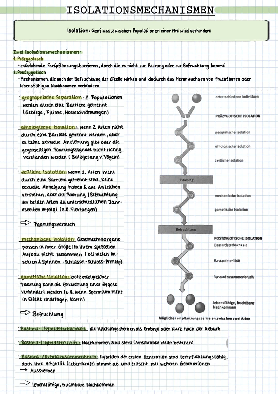 ISOLATIONSMECHANISMEN
Isolation: Genfluss zwischen Populationen einer Art wird verhindert
Zwei Isolationsmechanismen:
1. Präzygotisch
= ents