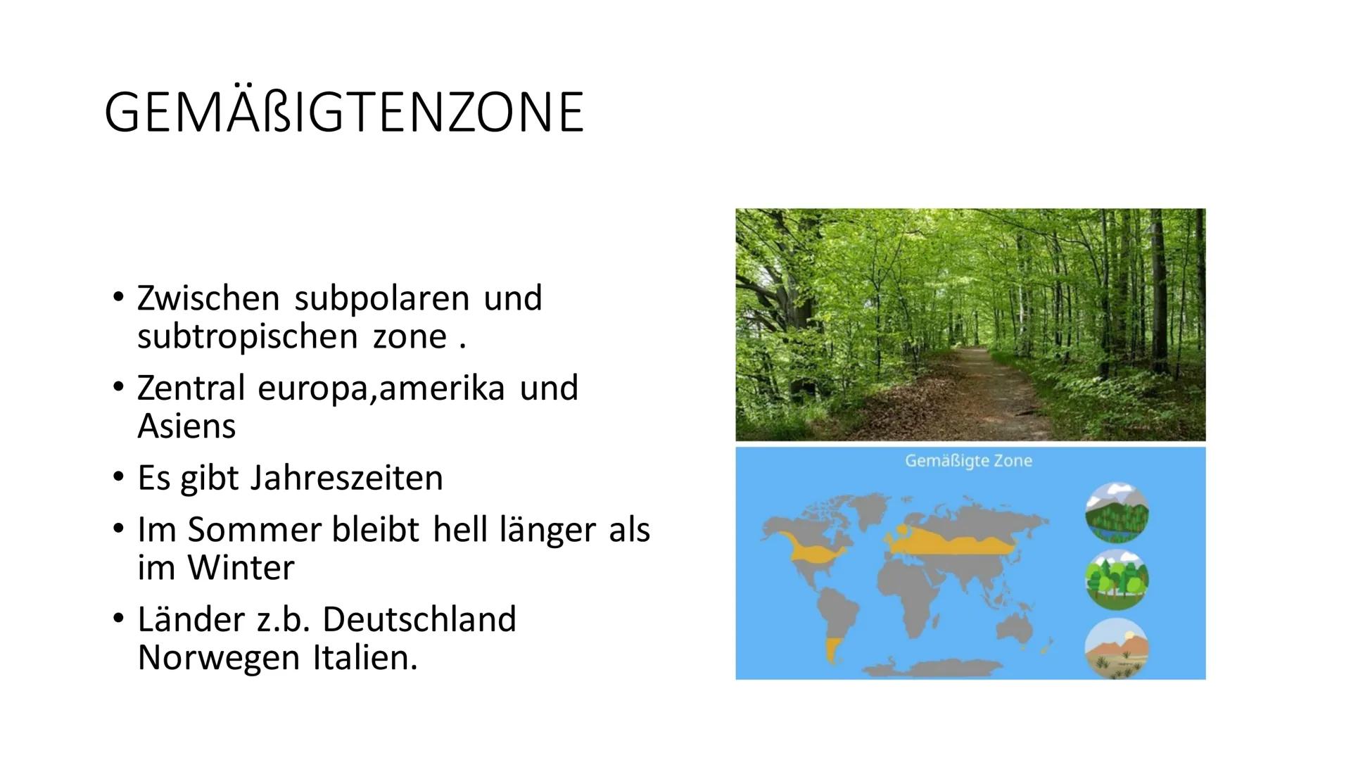 KLIMAZONEN DER ERDE
fragen am Ende DER POLARE ZONE
Südpol und Nordpol
• Tiere: Pinguin und Eisbär
●
Durchschnittliche Temperatur
-20 Bis -40