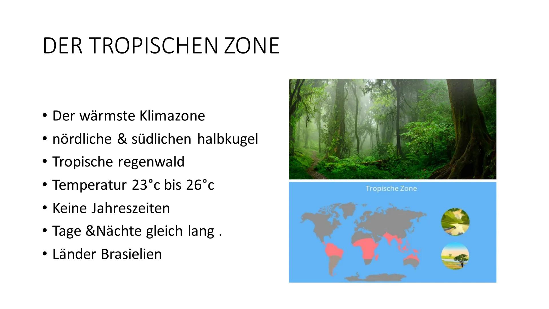 KLIMAZONEN DER ERDE
fragen am Ende DER POLARE ZONE
Südpol und Nordpol
• Tiere: Pinguin und Eisbär
●
Durchschnittliche Temperatur
-20 Bis -40