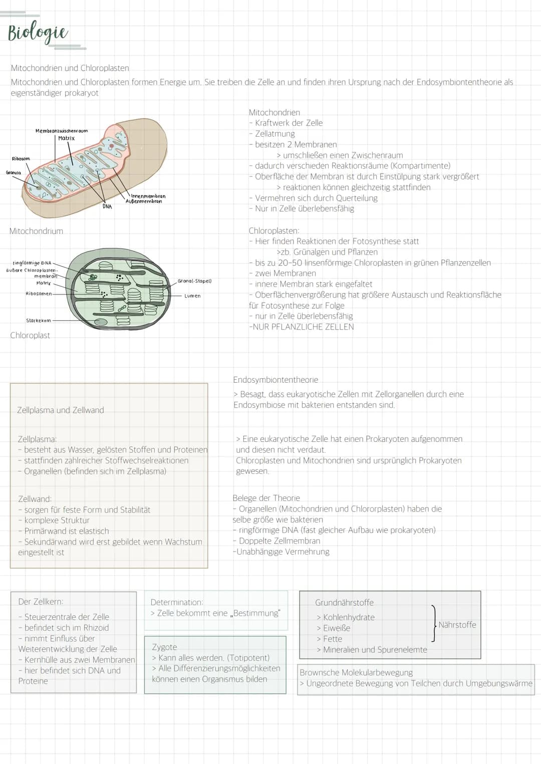 Biologie
Die Zelle
- kleinste und vermehrungsfähige
Einheit
Alle Lebewesen bestehen aus
Zellen
Zellen bestehen aus Zellorganellen
und andere