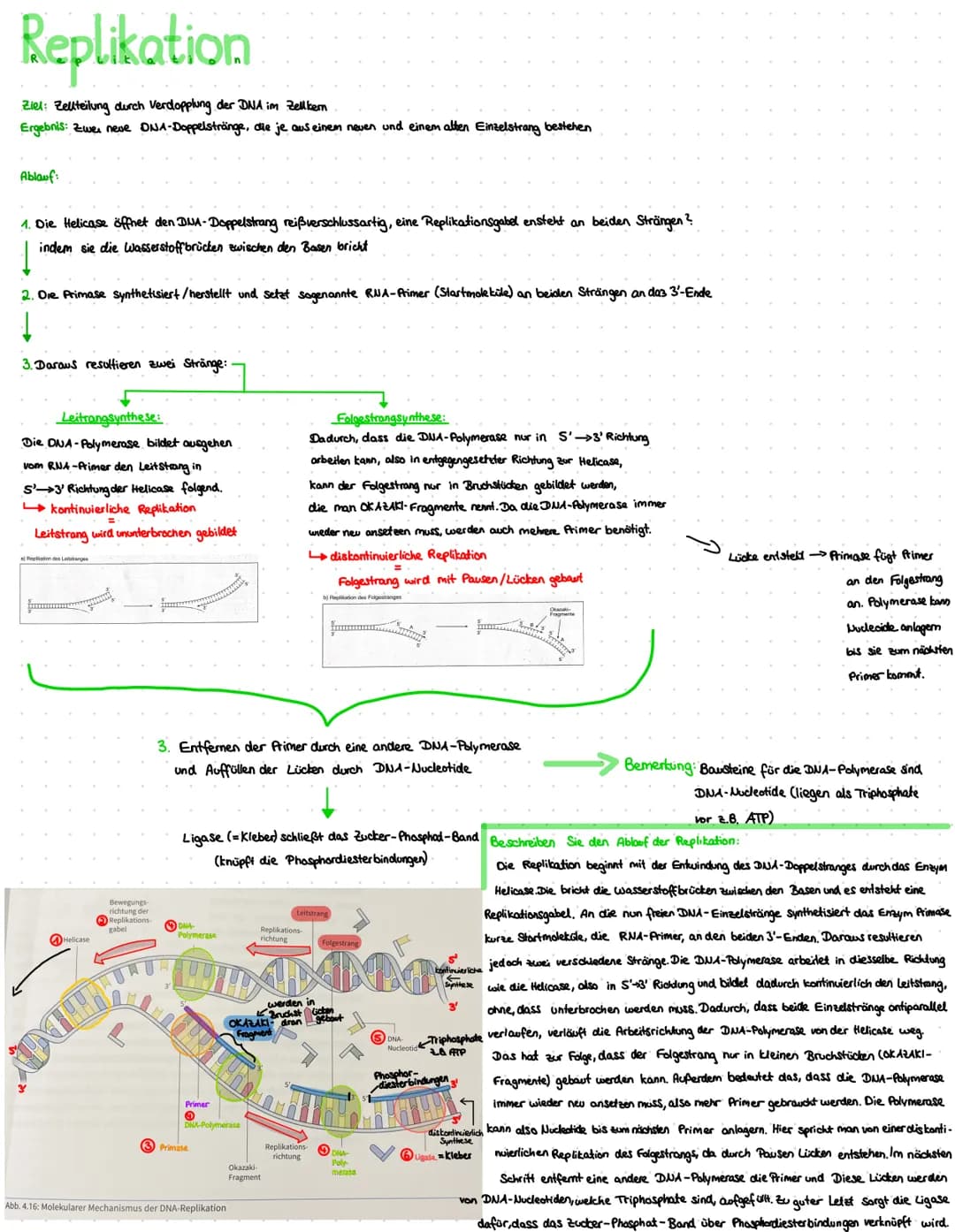 Genetik or
Q1
Aufbau der DNA
aus mehreren Nukleotiden:
Phosphat
P
I
Z-B-Base
Desoxyribose
5'Ende
3'Ende
ONA
• doppelsträngig
• länger.
Desok
