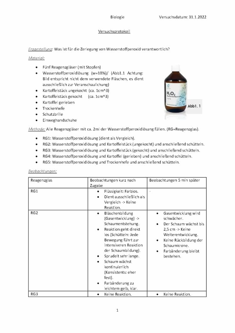 Know Versuchsprotokoll Wasserstoffperoxid, Katalase Nachweisreaktion  thumbnail