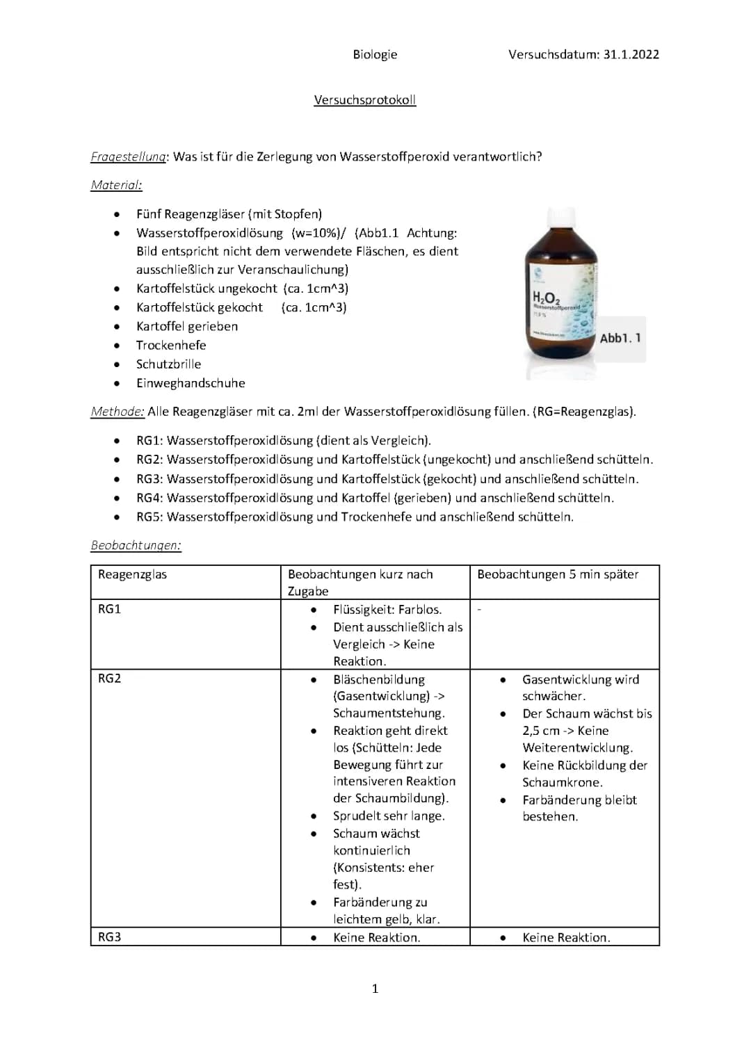 Versuchsprotokoll Wasserstoffperoxid, Katalase Nachweisreaktion 