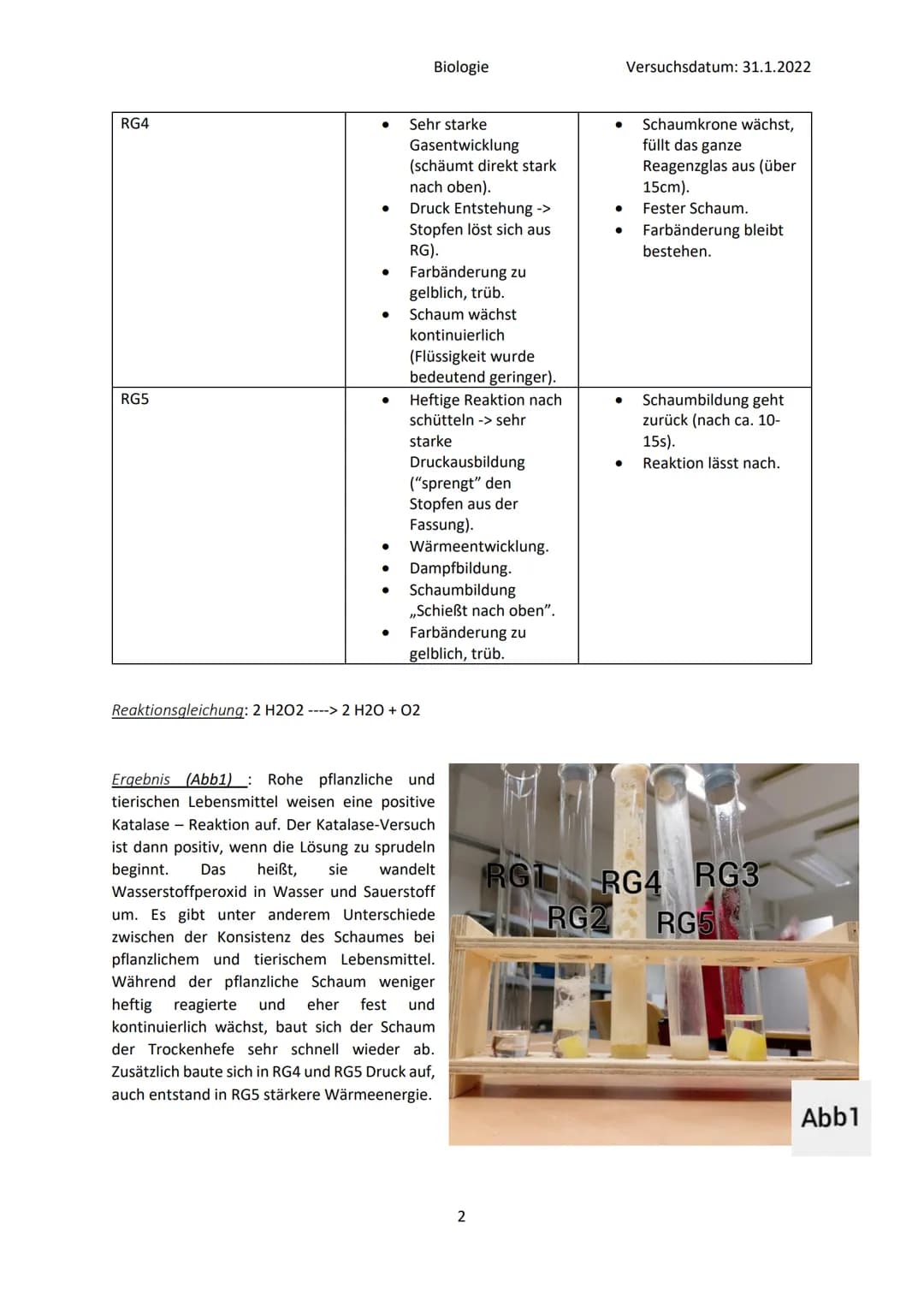 ●
●
Fragestellung: Was ist für die Zerlegung von Wasserstoffperoxid verantwortlich?
Material:
●
●
●
RG1
RG2
Beobachtungen:
Reagenzglas
RG3
B