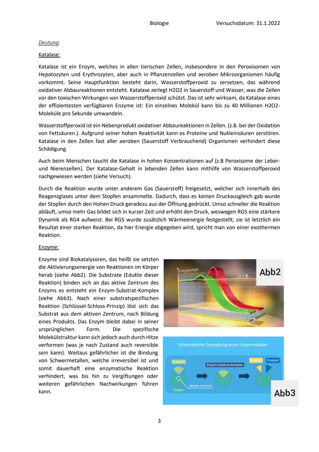 ●
●
Fragestellung: Was ist für die Zerlegung von Wasserstoffperoxid verantwortlich?
Material:
●
●
●
RG1
RG2
Beobachtungen:
Reagenzglas
RG3
B