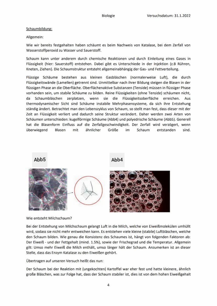 ●
●
Fragestellung: Was ist für die Zerlegung von Wasserstoffperoxid verantwortlich?
Material:
●
●
●
RG1
RG2
Beobachtungen:
Reagenzglas
RG3
B