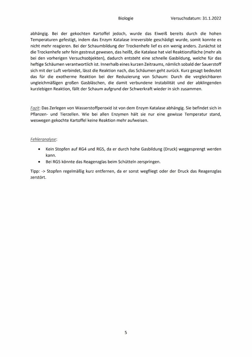 ●
●
Fragestellung: Was ist für die Zerlegung von Wasserstoffperoxid verantwortlich?
Material:
●
●
●
RG1
RG2
Beobachtungen:
Reagenzglas
RG3
B