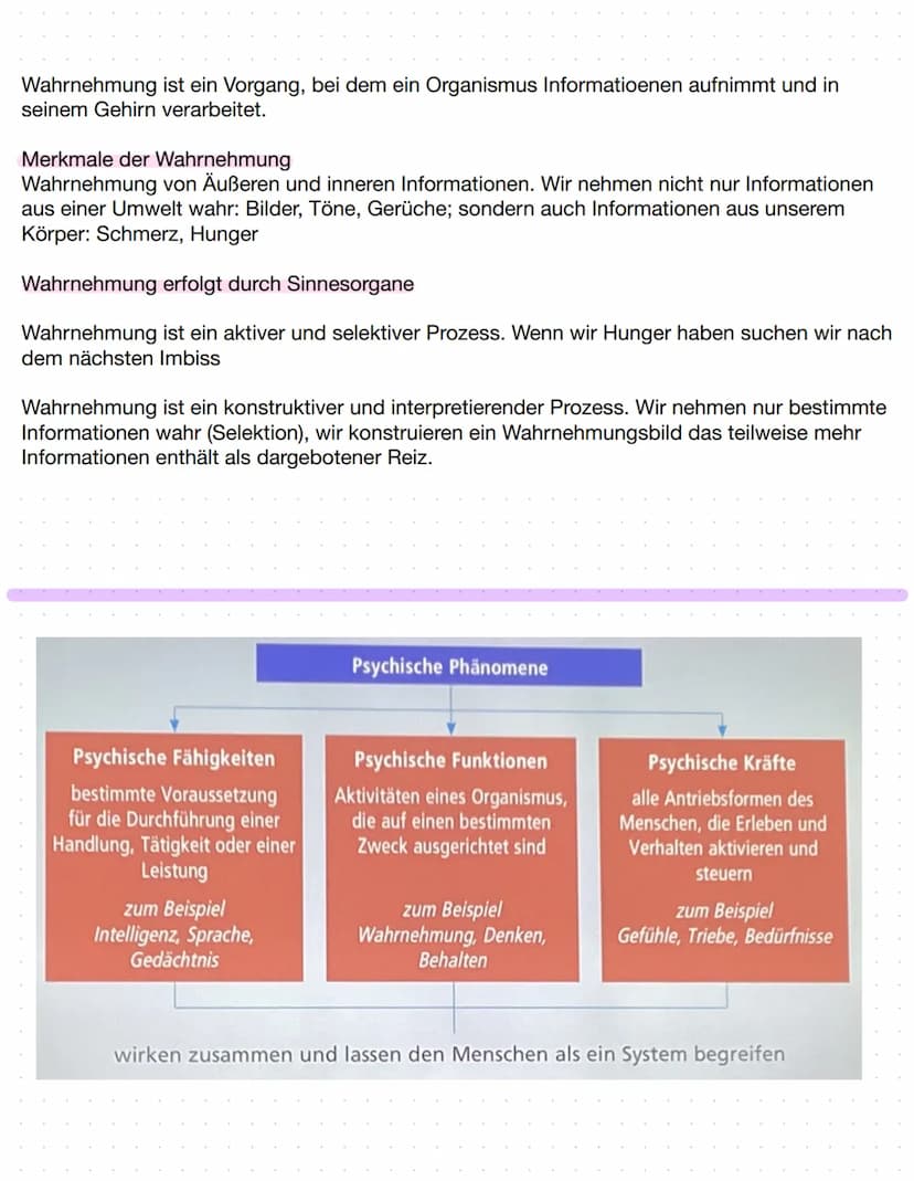  Wahrnehmung ist ein Vorgang, bei dem ein Organismus Informatioenen aufnimmt und in
seinem Gehirn verarbeitet.
Merkmale der Wahrnehmung
Wahr