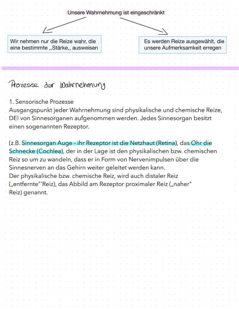  Wahrnehmung ist ein Vorgang, bei dem ein Organismus Informatioenen aufnimmt und in
seinem Gehirn verarbeitet.
Merkmale der Wahrnehmung
Wahr