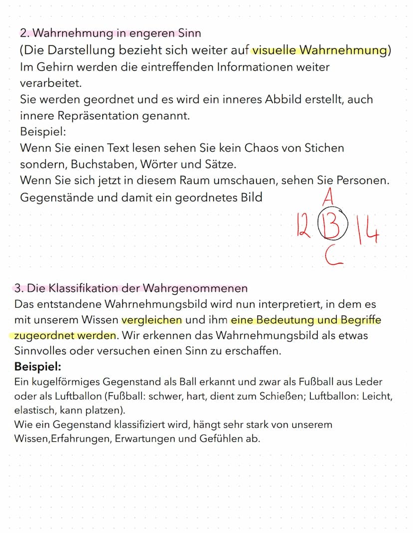  Wahrnehmung ist ein Vorgang, bei dem ein Organismus Informatioenen aufnimmt und in
seinem Gehirn verarbeitet.
Merkmale der Wahrnehmung
Wahr