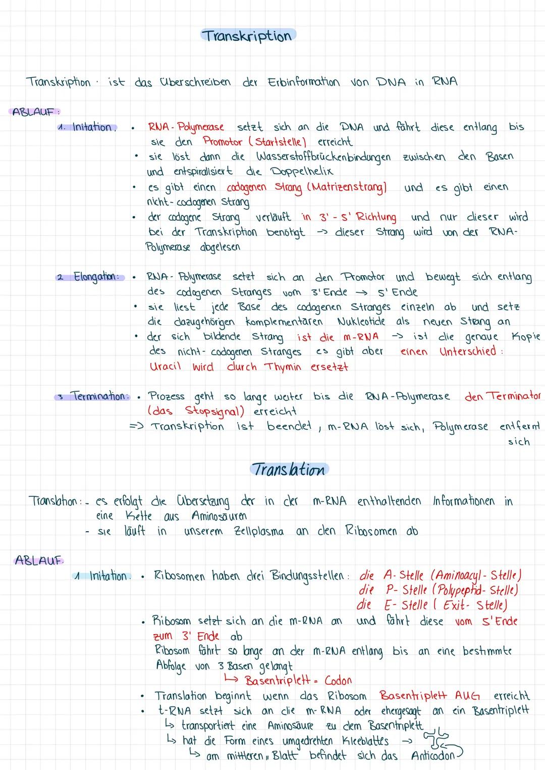 Transkription ist das überschreiben der Erbinformation von DNA in RNA
ABLAUF:
1. Initation.
2 Elongation:
3 Termination:
ABLAUF.
.
-
.
●
Ini
