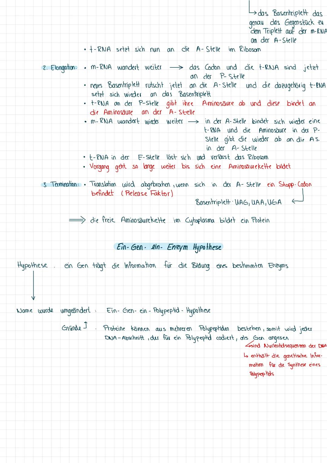 Transkription ist das überschreiben der Erbinformation von DNA in RNA
ABLAUF:
1. Initation.
2 Elongation:
3 Termination:
ABLAUF.
.
-
.
●
Ini