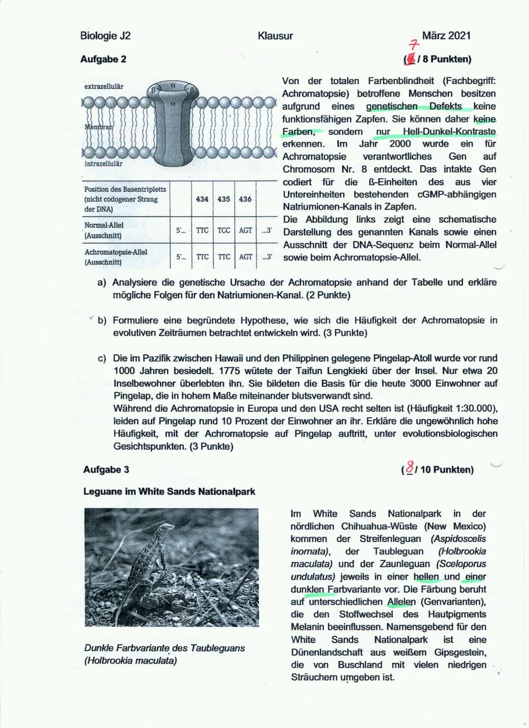 12-2 Biologie Illausur
Aufgabe 19).
Der biologische Artbrynff besagt, dass es sich um
eine Art handelt, sobald eine Gruppe der Population
si