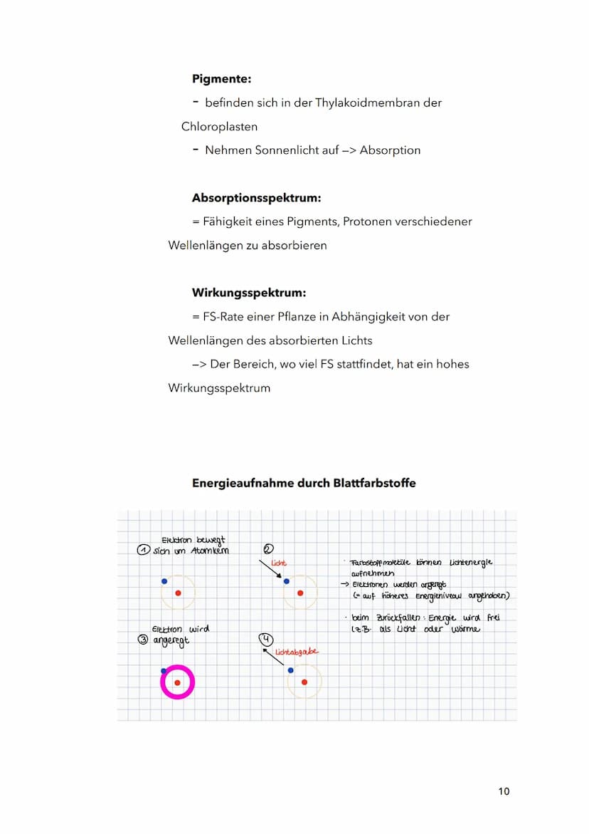 Fotosynthese
Biologie
Sila
18. März 2022
1 Themen:
O Bau und Funktion von Blättern (Blattquerschnitt)
o Stofftransport in Pflanzen
O Aufbau 