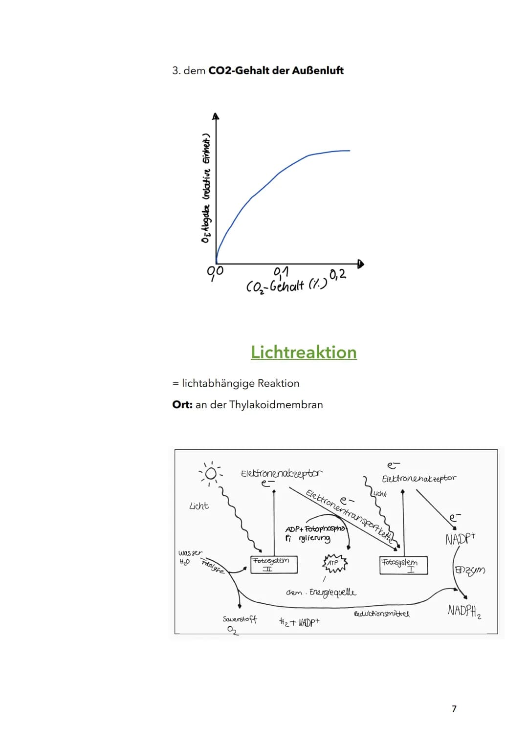Fotosynthese
Biologie
Sila
18. März 2022
1 Themen:
O Bau und Funktion von Blättern (Blattquerschnitt)
o Stofftransport in Pflanzen
O Aufbau 