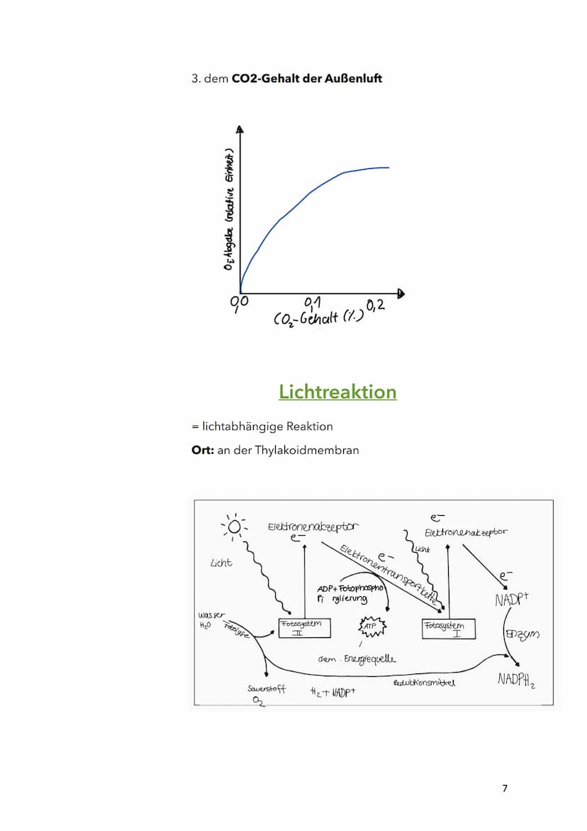 Fotosynthese
Biologie
Sila
18. März 2022
1 Themen:
O Bau und Funktion von Blättern (Blattquerschnitt)
o Stofftransport in Pflanzen
O Aufbau 