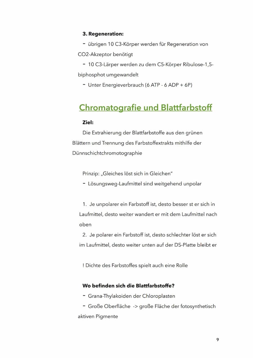 Fotosynthese
Biologie
Sila
18. März 2022
1 Themen:
O Bau und Funktion von Blättern (Blattquerschnitt)
o Stofftransport in Pflanzen
O Aufbau 
