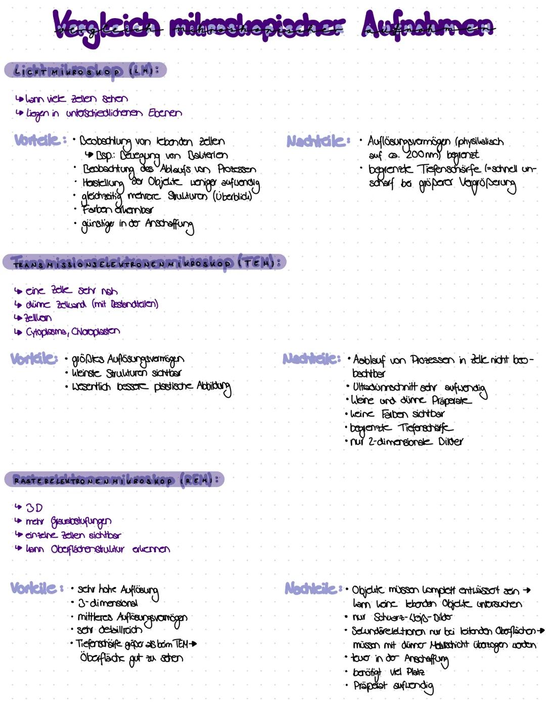 Unterschiede zwischen LM, TEM und REM Mikroskopie