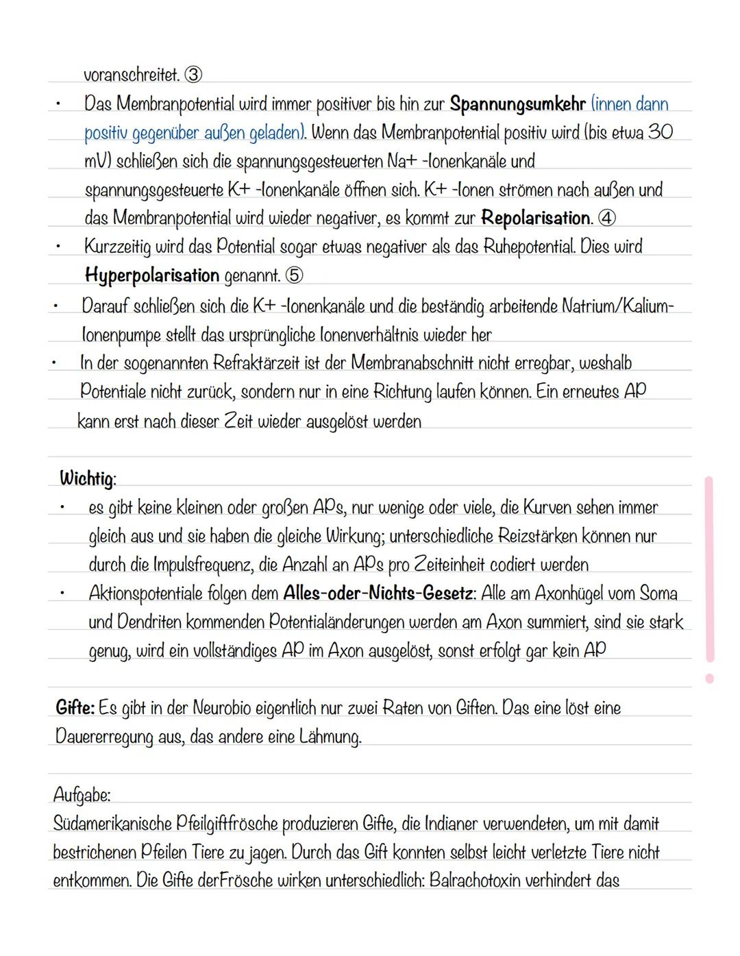  Skizze einer Nervenzelle:
Nervenzellen und Nervensysteme
Signalaufnahme Dendriten
Signalauslösung Soma (Zellkörper)
Signalweiterleitung
Sig