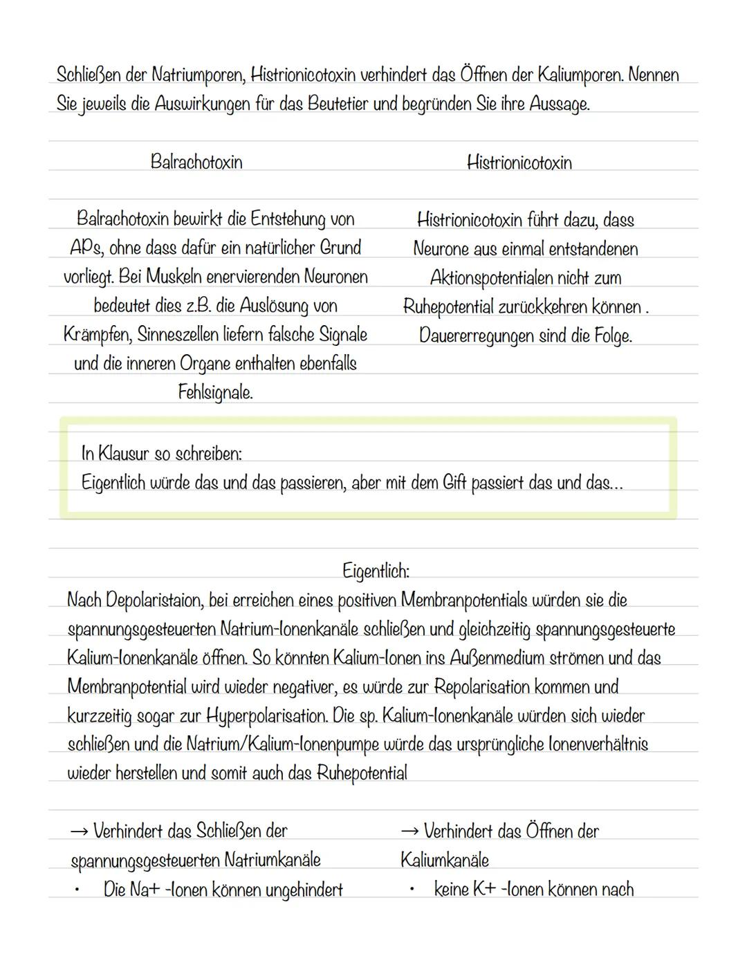  Skizze einer Nervenzelle:
Nervenzellen und Nervensysteme
Signalaufnahme Dendriten
Signalauslösung Soma (Zellkörper)
Signalweiterleitung
Sig