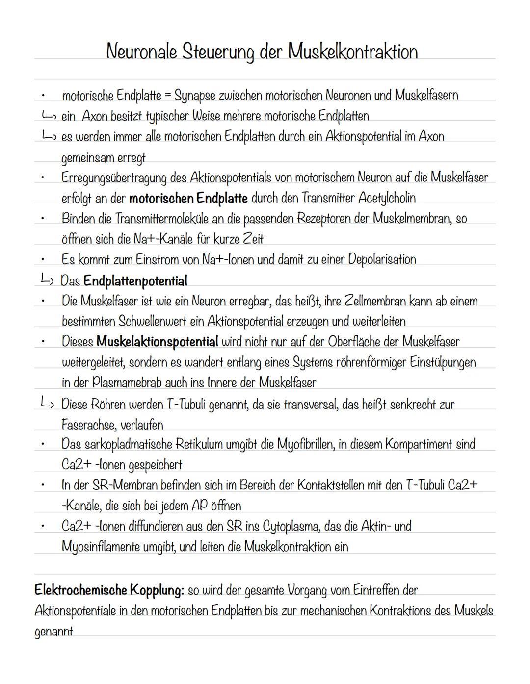  Skizze einer Nervenzelle:
Nervenzellen und Nervensysteme
Signalaufnahme Dendriten
Signalauslösung Soma (Zellkörper)
Signalweiterleitung
Sig