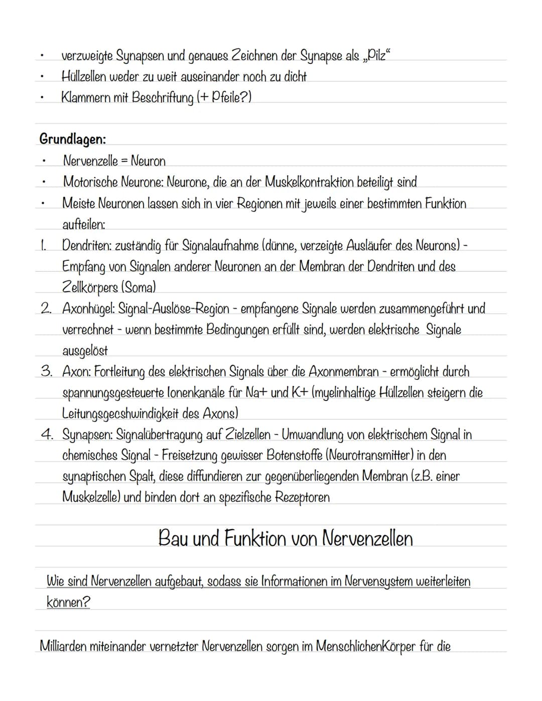  Skizze einer Nervenzelle:
Nervenzellen und Nervensysteme
Signalaufnahme Dendriten
Signalauslösung Soma (Zellkörper)
Signalweiterleitung
Sig