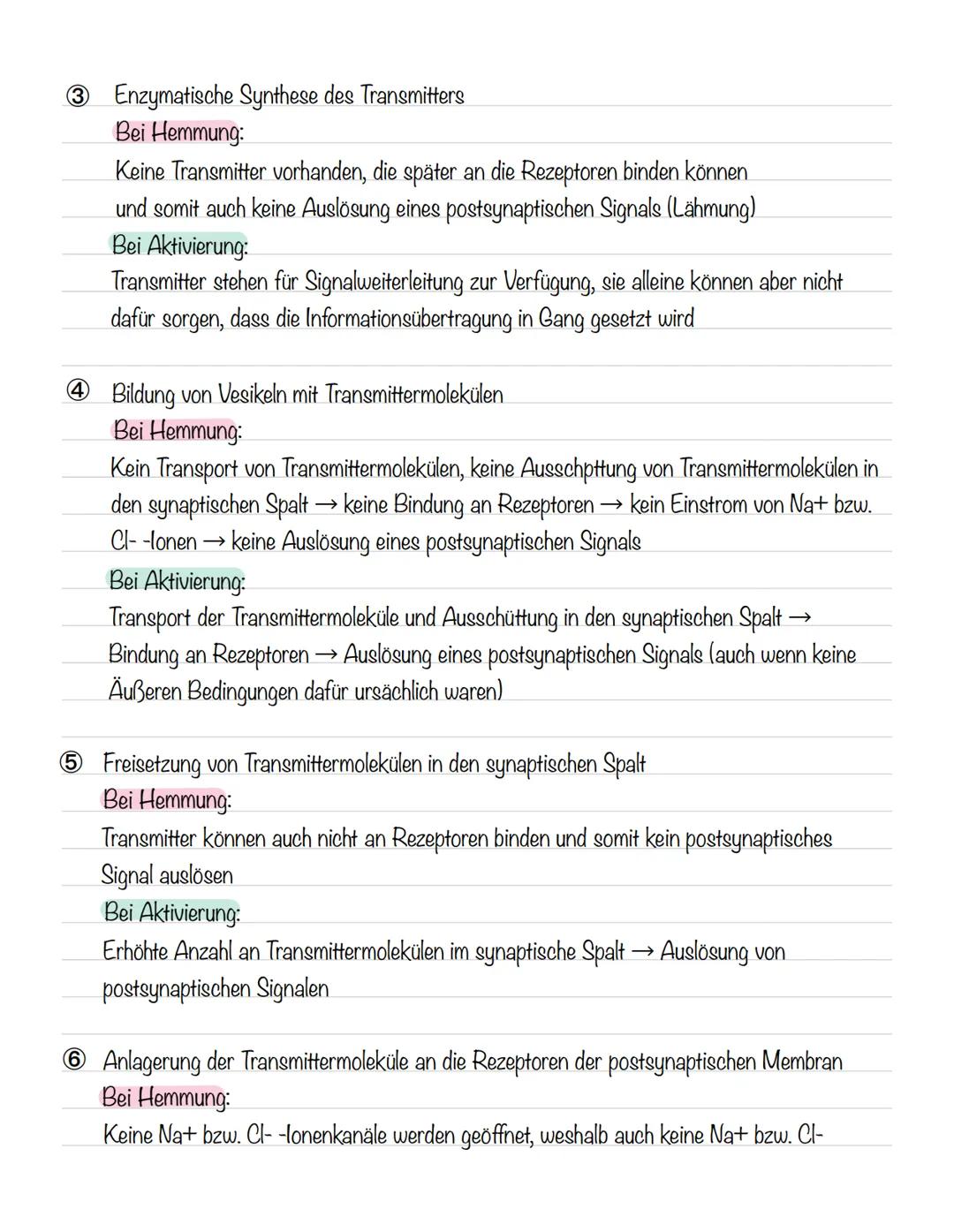  Skizze einer Nervenzelle:
Nervenzellen und Nervensysteme
Signalaufnahme Dendriten
Signalauslösung Soma (Zellkörper)
Signalweiterleitung
Sig