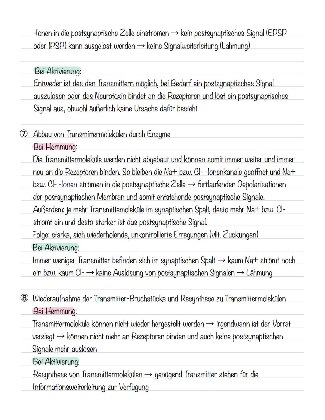  Skizze einer Nervenzelle:
Nervenzellen und Nervensysteme
Signalaufnahme Dendriten
Signalauslösung Soma (Zellkörper)
Signalweiterleitung
Sig