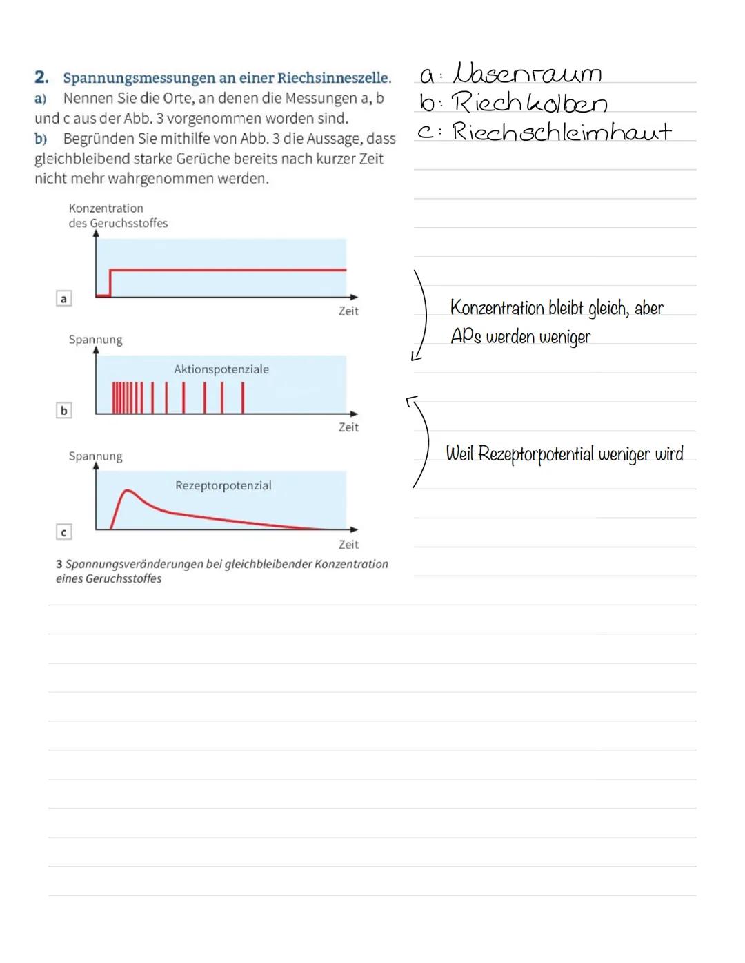  Skizze einer Nervenzelle:
Nervenzellen und Nervensysteme
Signalaufnahme Dendriten
Signalauslösung Soma (Zellkörper)
Signalweiterleitung
Sig