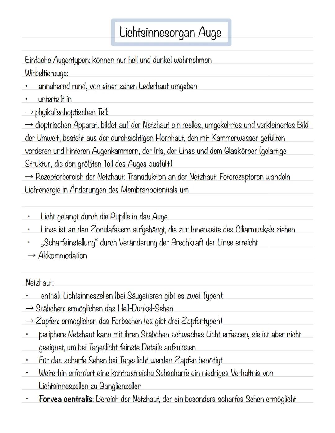  Skizze einer Nervenzelle:
Nervenzellen und Nervensysteme
Signalaufnahme Dendriten
Signalauslösung Soma (Zellkörper)
Signalweiterleitung
Sig