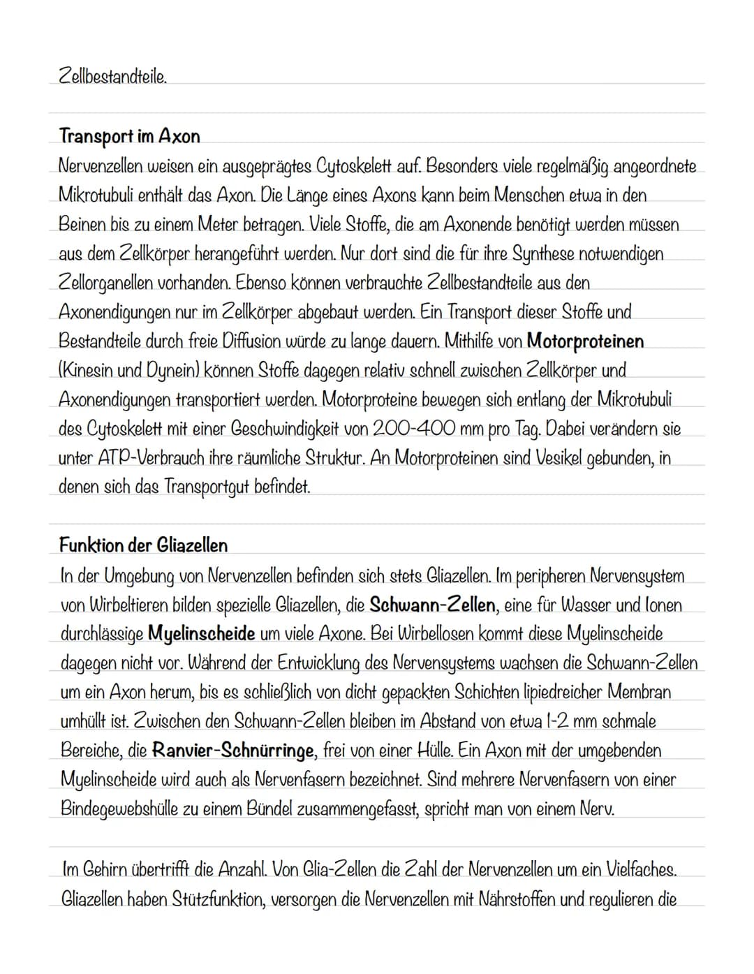  Skizze einer Nervenzelle:
Nervenzellen und Nervensysteme
Signalaufnahme Dendriten
Signalauslösung Soma (Zellkörper)
Signalweiterleitung
Sig