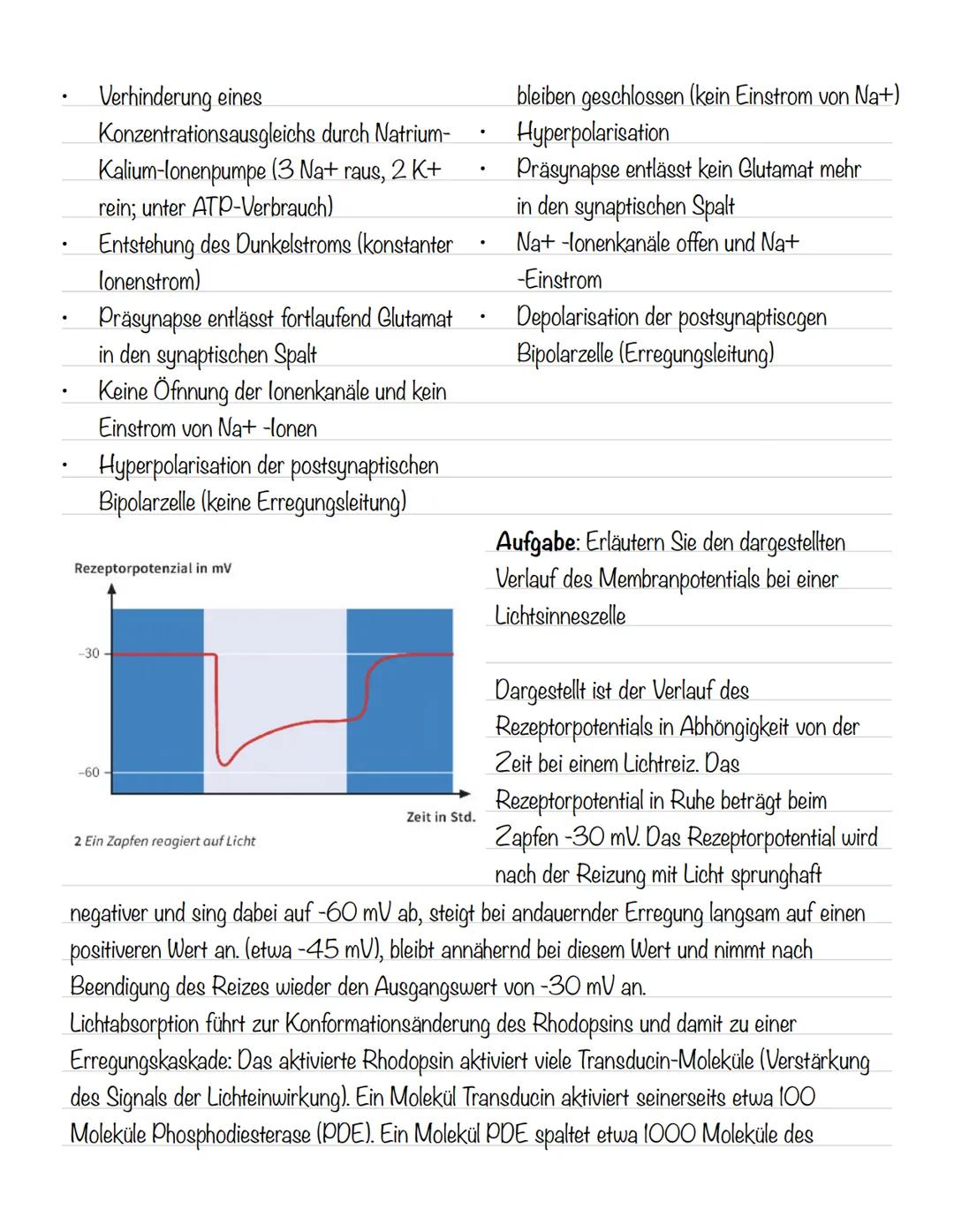  Skizze einer Nervenzelle:
Nervenzellen und Nervensysteme
Signalaufnahme Dendriten
Signalauslösung Soma (Zellkörper)
Signalweiterleitung
Sig